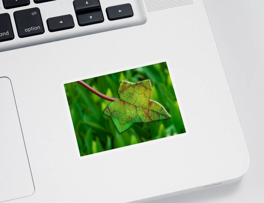 Photography Sticker featuring the photograph Fused With Nature by Paul Wear
