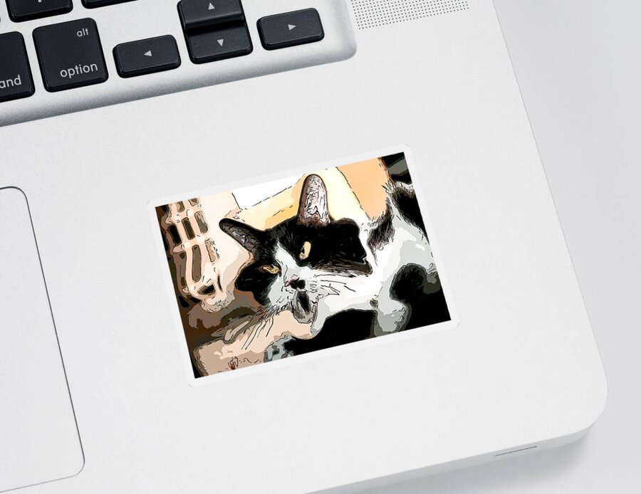Kitten Sticker featuring the digital art Goofy Tuxedo cat Color by Don Northup