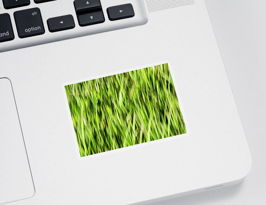 Grass Sticker featuring the photograph Grass Pattern 1 by Kathy Paynter
