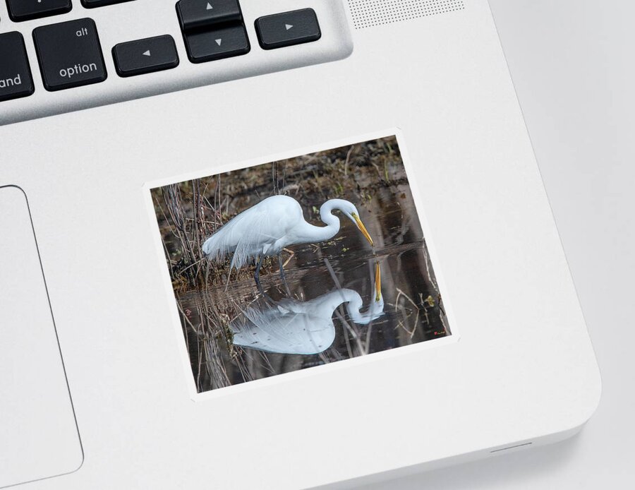 Nature Sticker featuring the photograph Great Egret in Breeding Plumage DMSB0154 by Gerry Gantt