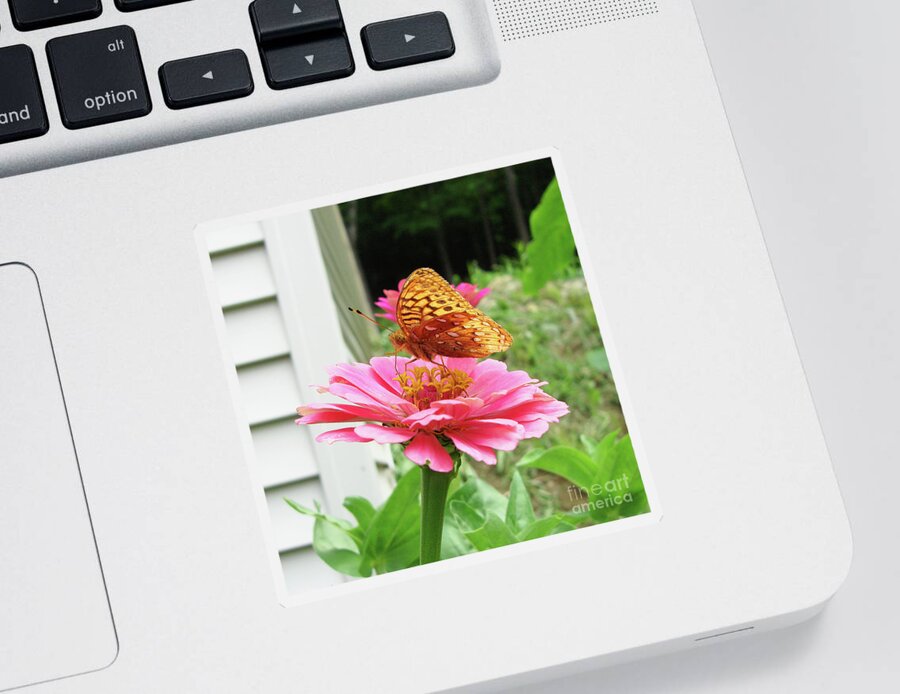 Great Spangled Fritillary Sticker featuring the photograph Great Spangled Fritillary and Zinnia 2 by Amy E Fraser