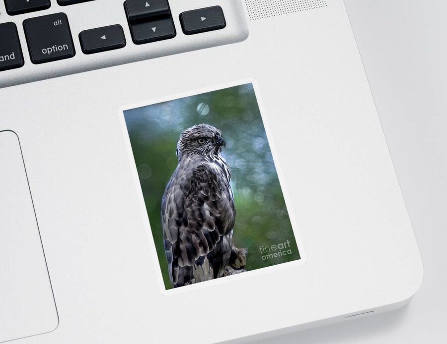 Birds Sticker featuring the photograph Hawk Eagle by Elaine Manley