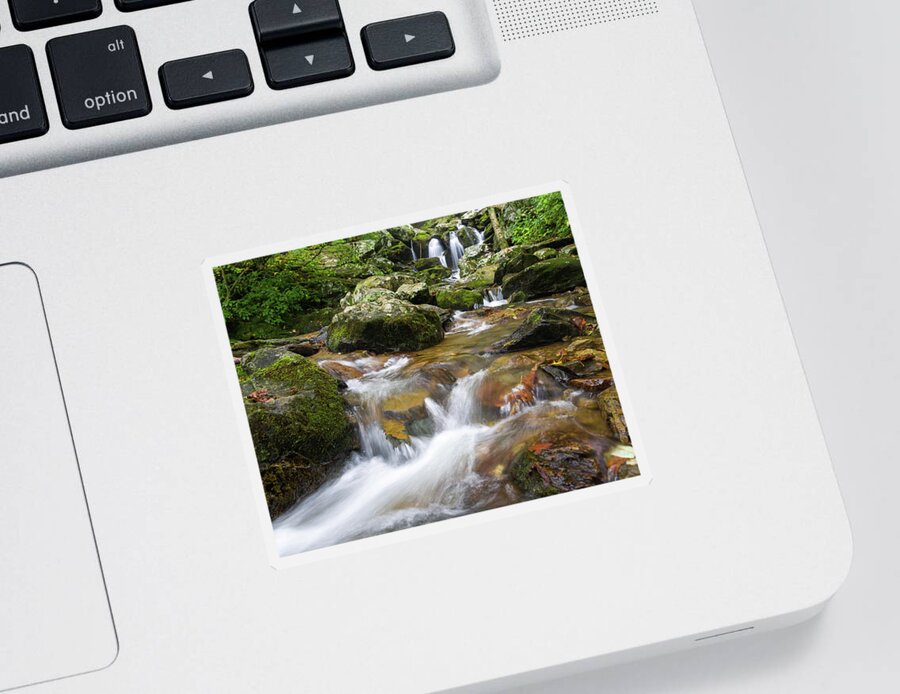 Waterfall Sticker featuring the photograph Hogcamp Branch Falls I by William Dickman