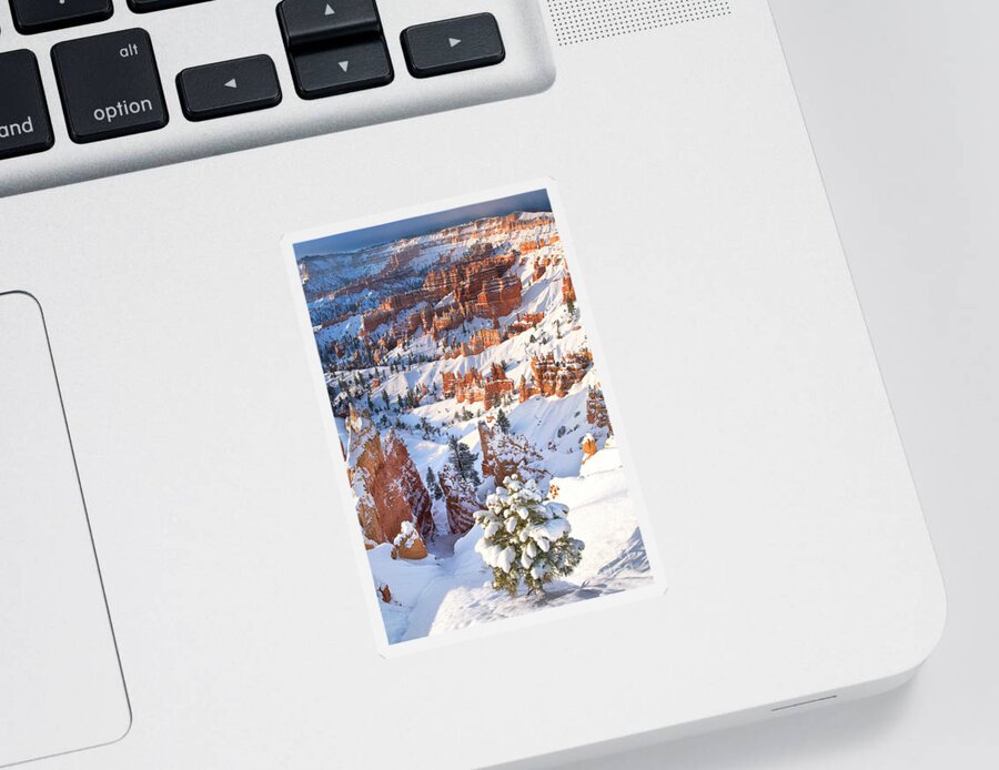 North America Sticker featuring the photograph Hoodoos and Fir Tree in Winter Bryce Canyon NP Utah by Dave Welling