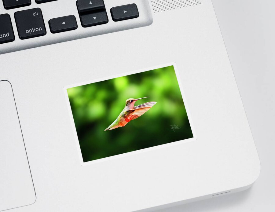 Female Ruby Throat Sticker featuring the photograph Hummingbird Flying by Meta Gatschenberger