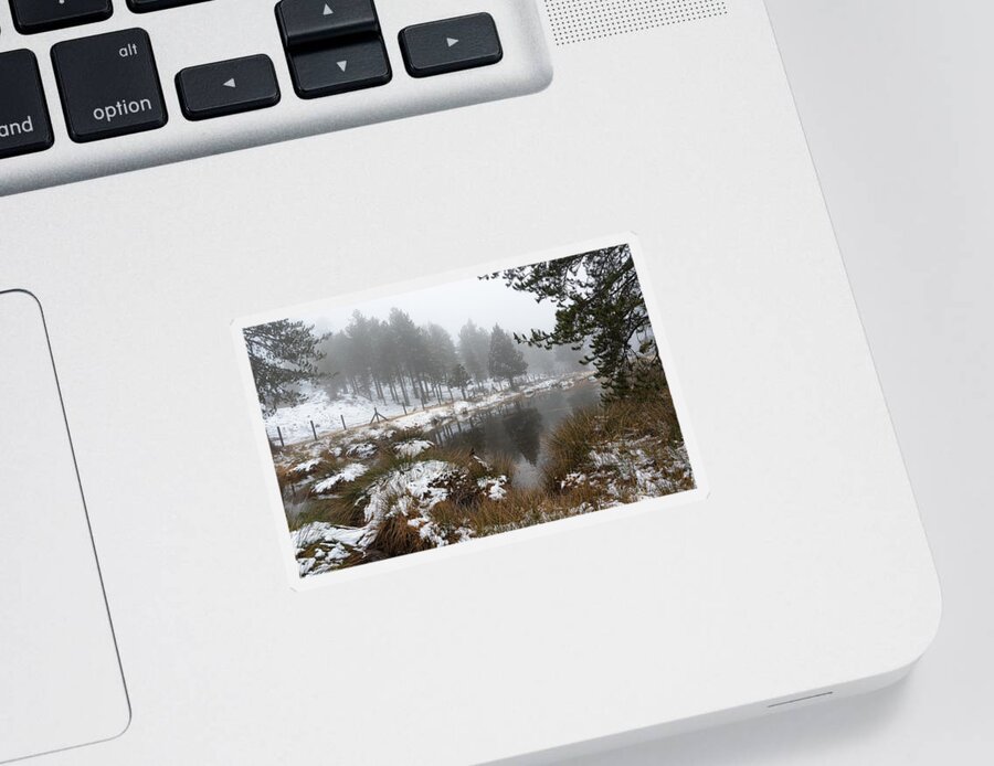 Wintertime Sticker featuring the photograph Idyllic winter forest landscape at Troodos Mountains, Cyprus by Michalakis Ppalis