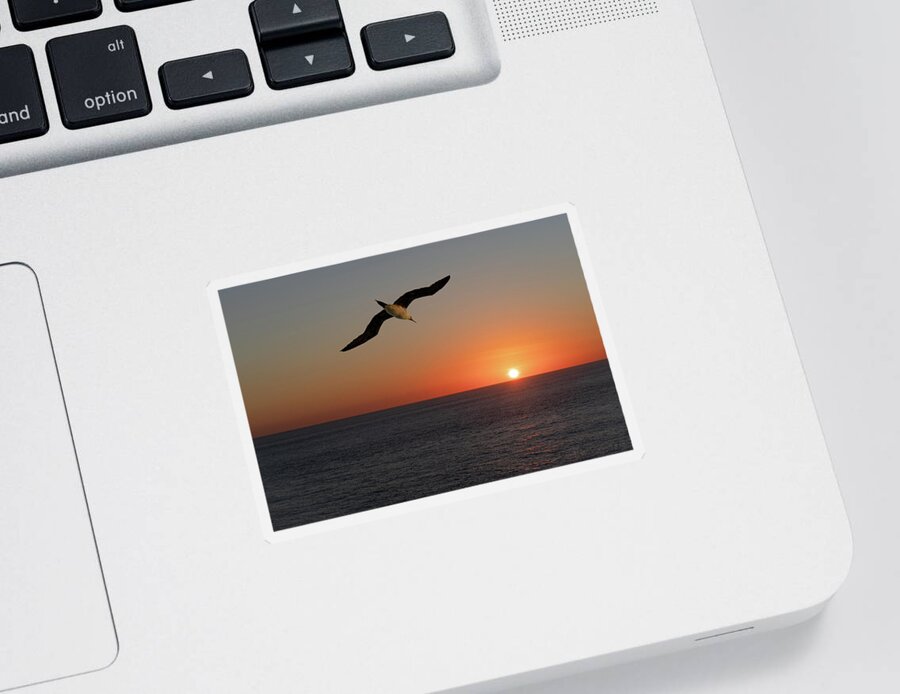 Sunset Sticker featuring the photograph Into the setting sun by William Dickman