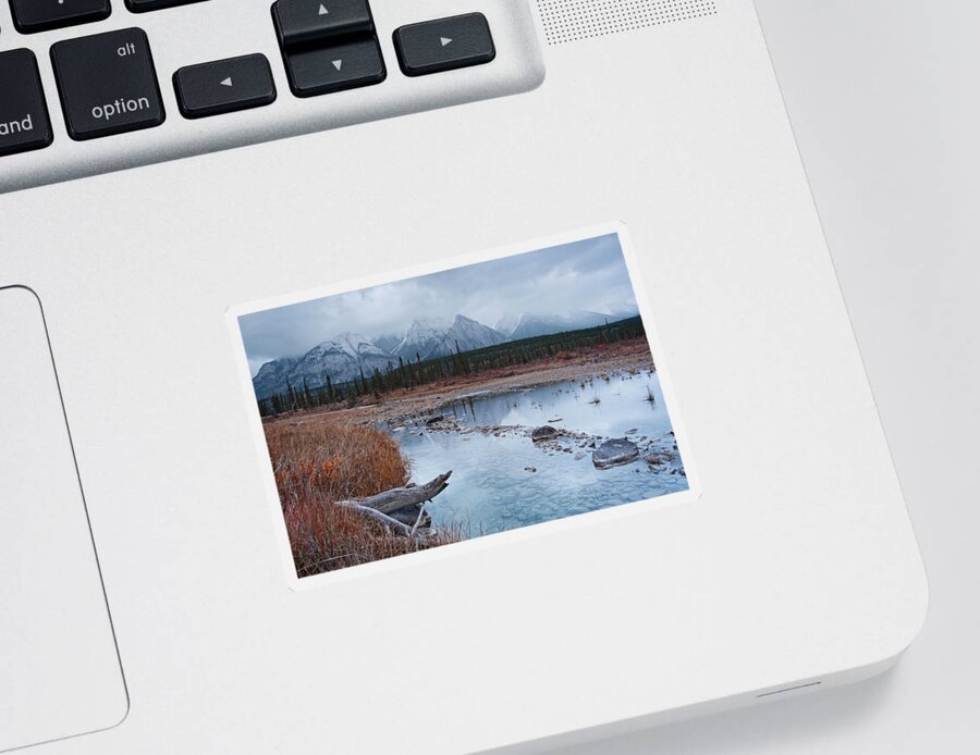 Canada Sticker featuring the photograph Kootenay Plains Reflecting Pools 4 by Catherine Reading