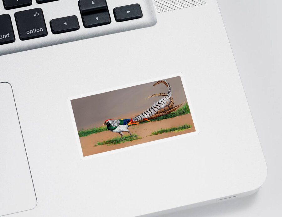 Birds Sticker featuring the painting Lady Amherst Pheasant by Dana Newman