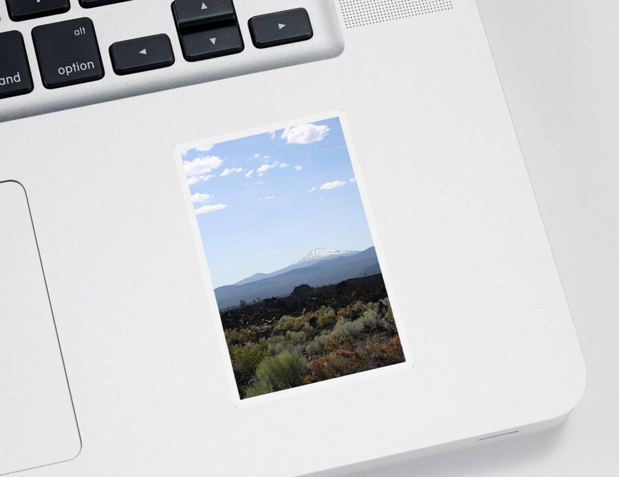 Lava Bed Bachelor Sticker featuring the photograph Lava Bed Bachelor by Dylan Punke