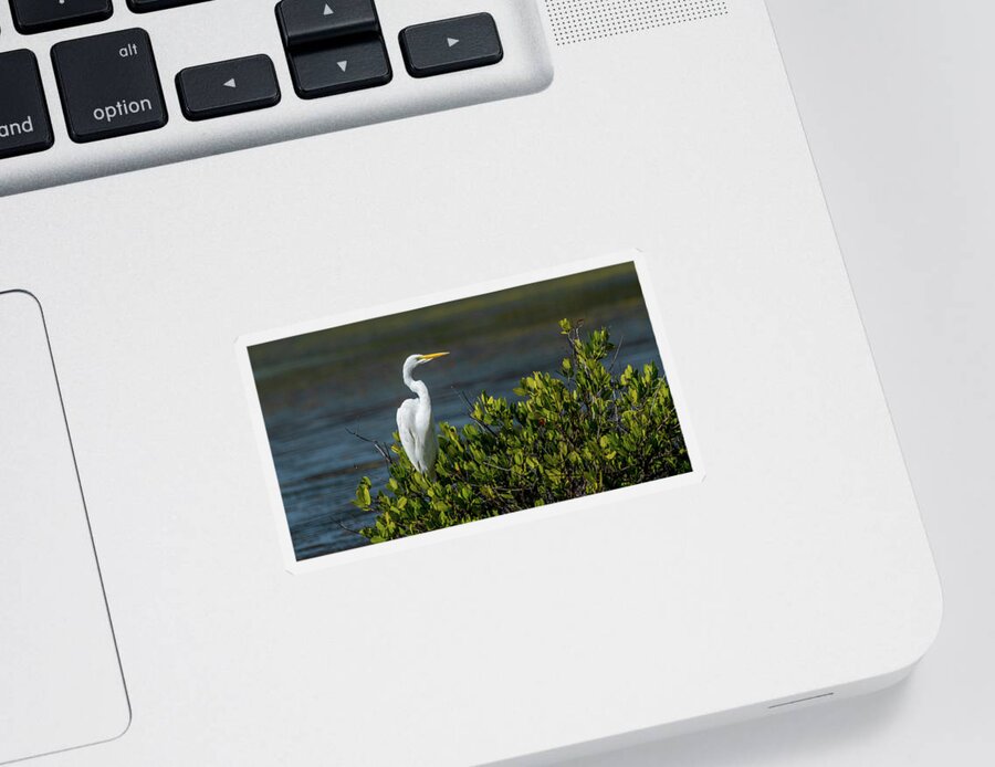 Great Egret Sticker featuring the photograph Lofty Perch by Marcy Wielfaert
