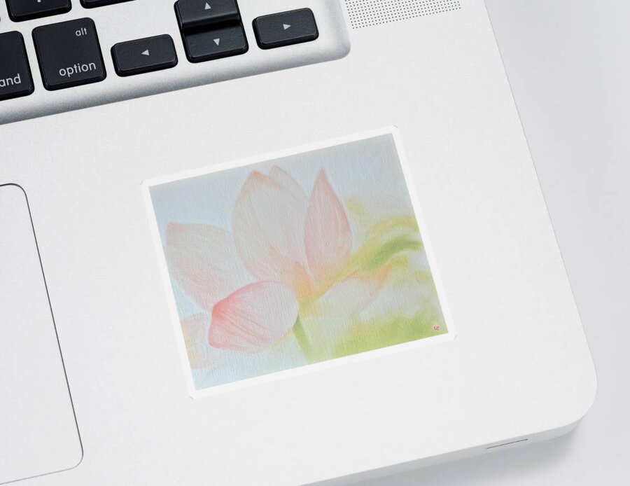 Lotus Flower Sticker featuring the painting Lotus In Light by Cara Frafjord