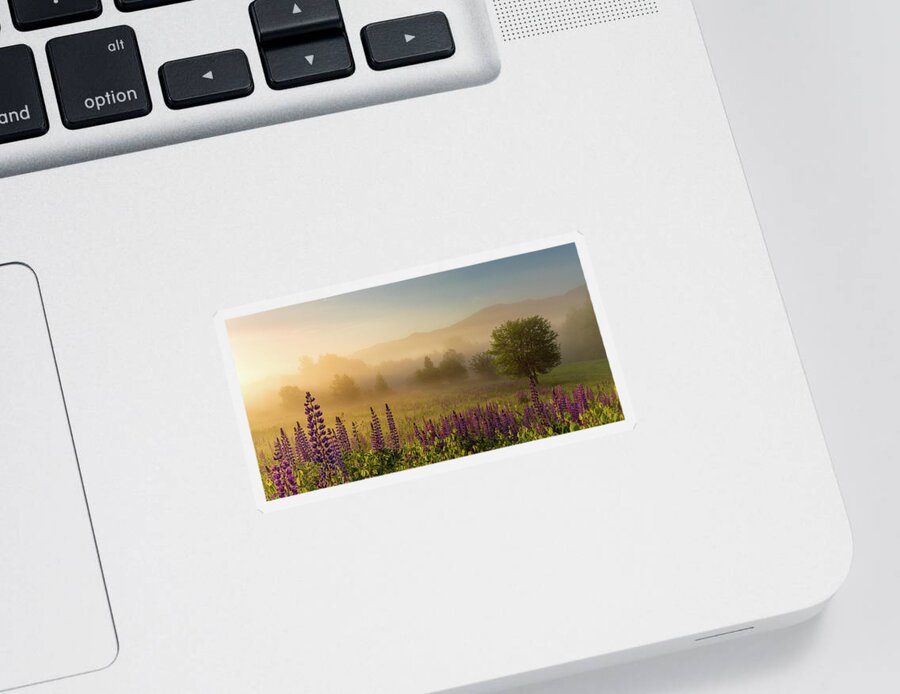 Amazing New England Artworks Sticker featuring the photograph Lupine In The Fog, Sugar Hill, NH by Jeff Sinon