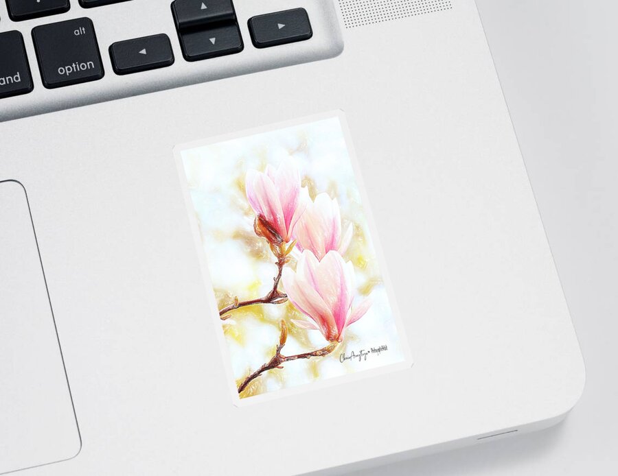 Magnolia Sticker featuring the pastel Magnolias are blooming again, it must be Spring by Chris Armytage