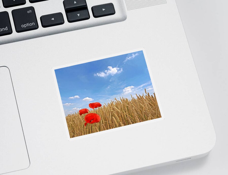 Farm Landscape Sticker featuring the photograph Making A Splash Red Poppies In Wheat Field by Gill Billington