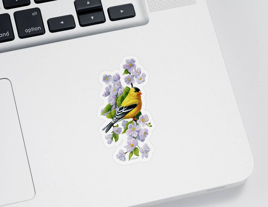 Bird Sticker featuring the painting Male American Goldfinch and Apple Blossoms by Crista Forest