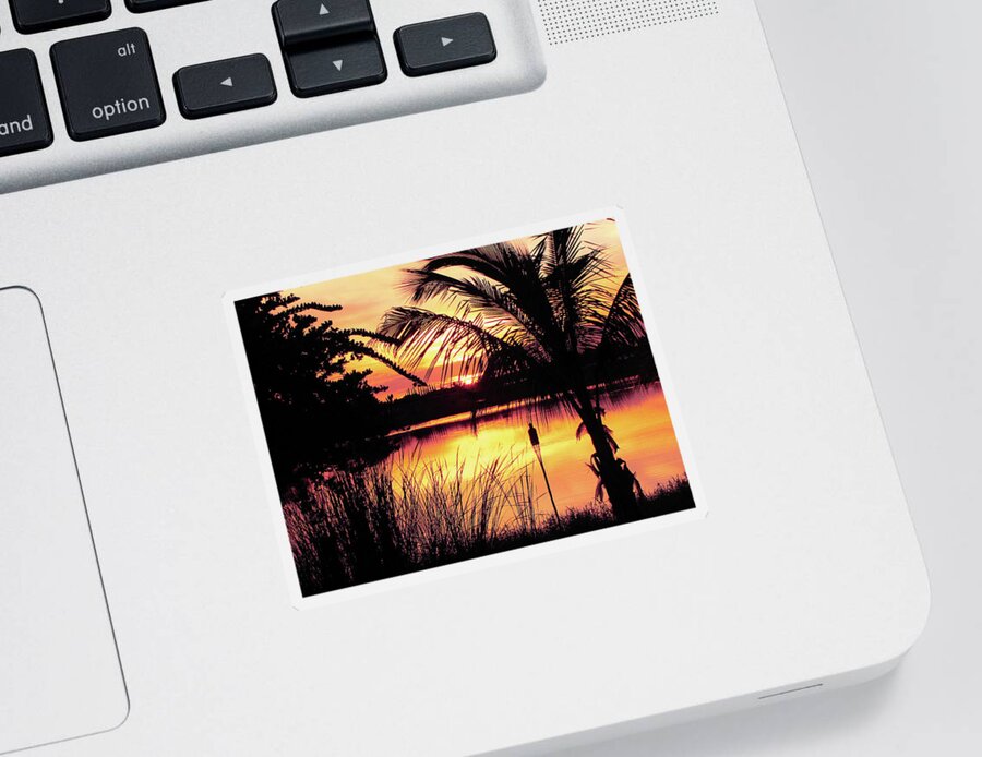 Landscape Sticker featuring the photograph Manatee River Sunset by Susan Hope Finley