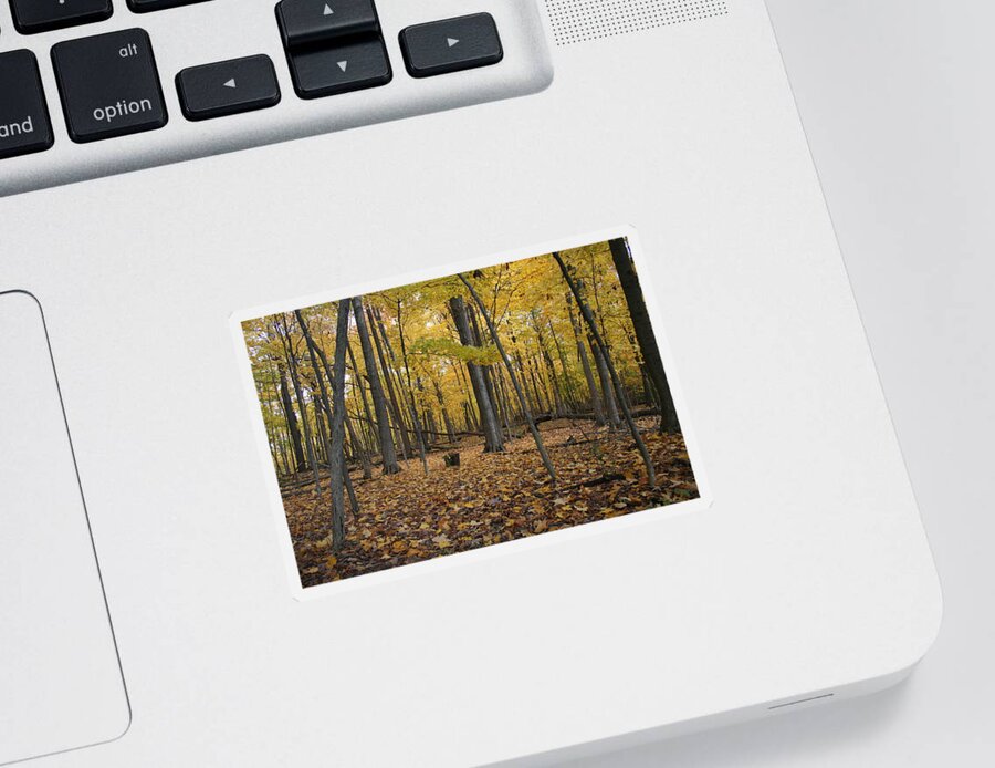 Merwin Transition Sticker featuring the photograph Merwin Transition by Dylan Punke