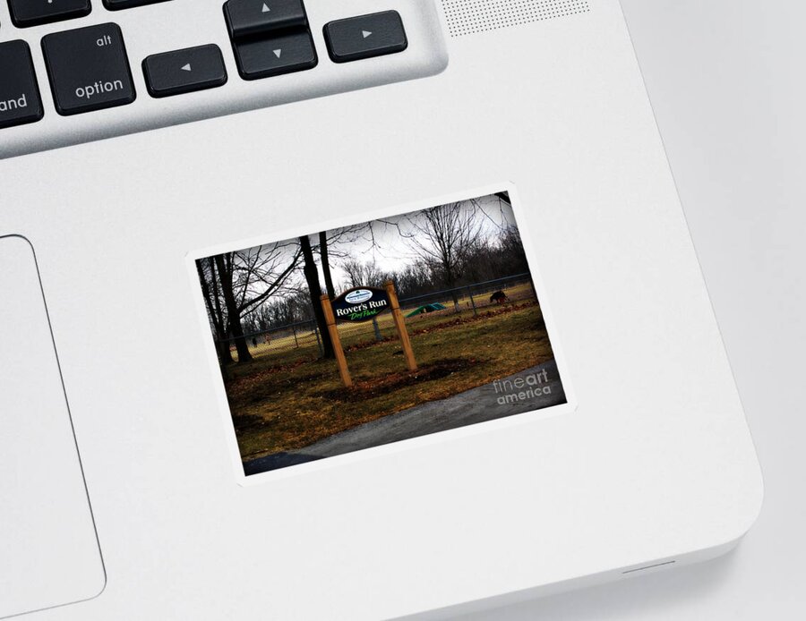 Documentary Sticker featuring the photograph Mild Winter at the Dog Park by Frank J Casella