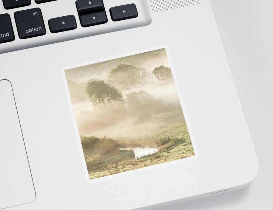 Mist Sticker featuring the photograph Mist in the Vale by Anita Nicholson