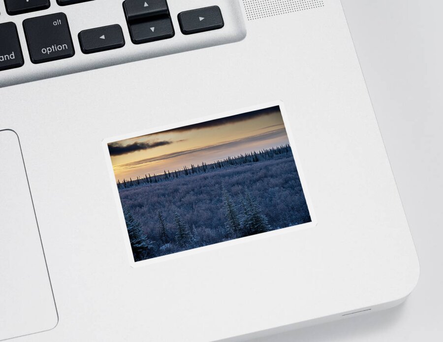 Dawn Sticker featuring the photograph Morning Frost by Mark Hunter