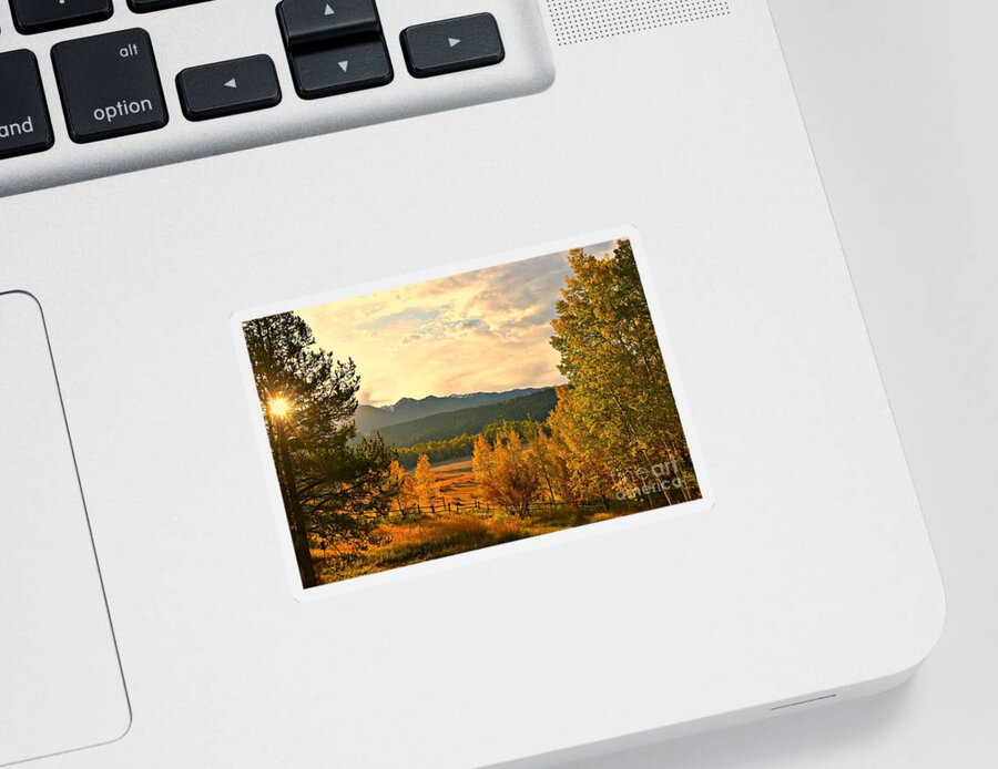 Fall Colors Sticker featuring the photograph Morning Light by Dorrene BrownButterfield