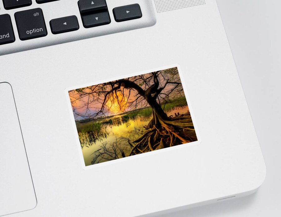 Clouds Sticker featuring the photograph Morning Mystery by Debra and Dave Vanderlaan
