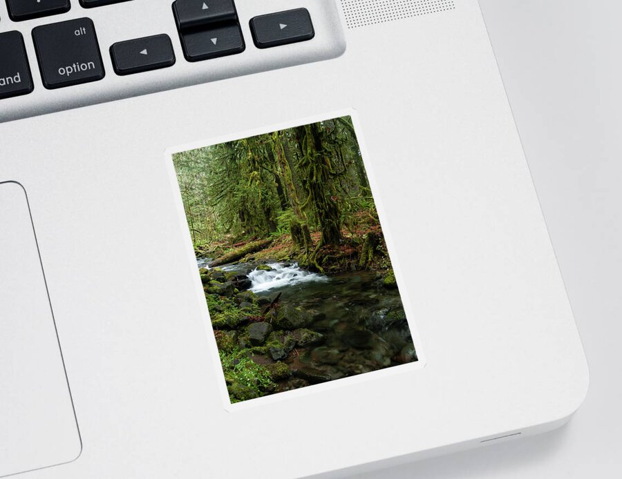 Rivers Sticker featuring the photograph Mossy Cascade by Steven Clark