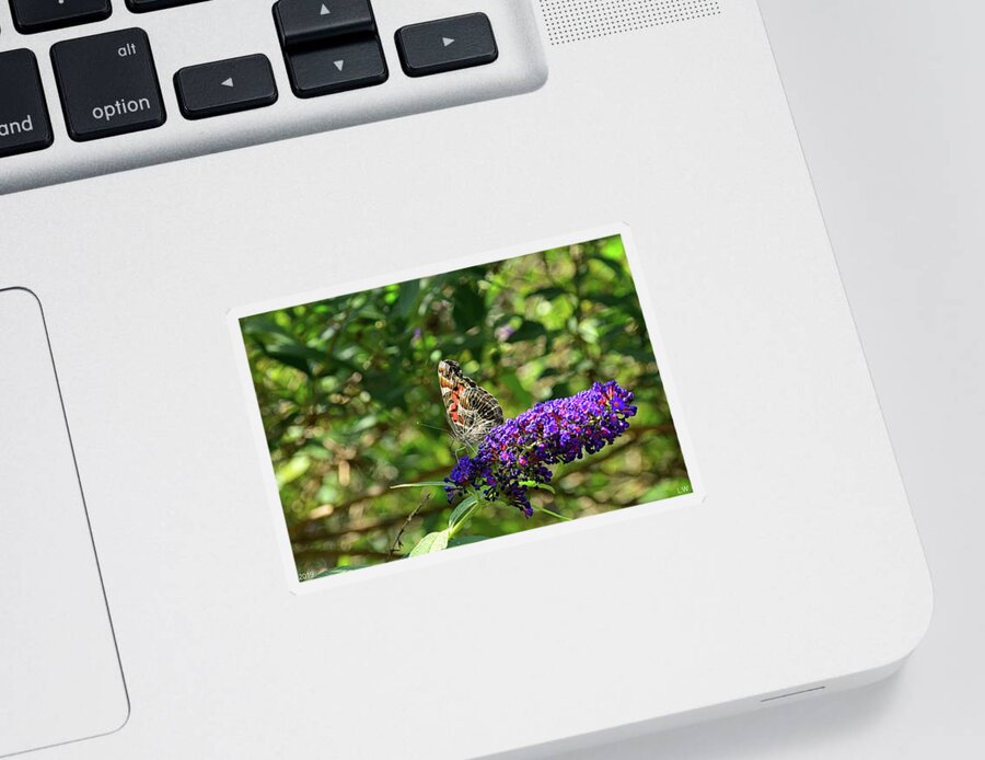 Admiral Butterfly 2 Sticker featuring the photograph Admiral Butterfly 2 by Lisa Wooten
