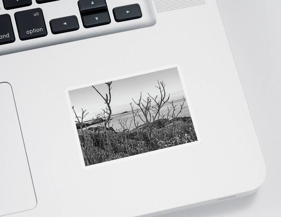 Nahant Sticker featuring the photograph Nahant MA Egg Rock through the Trees Black and White by Toby McGuire