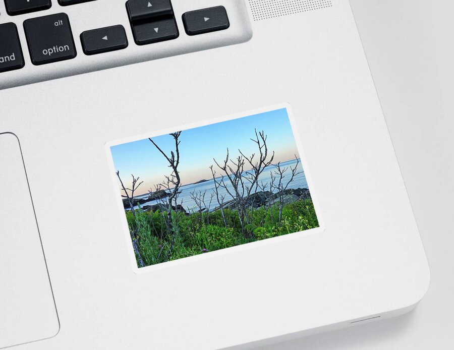Nahant Sticker featuring the photograph Nahant MA Egg Rock through the Trees by Toby McGuire