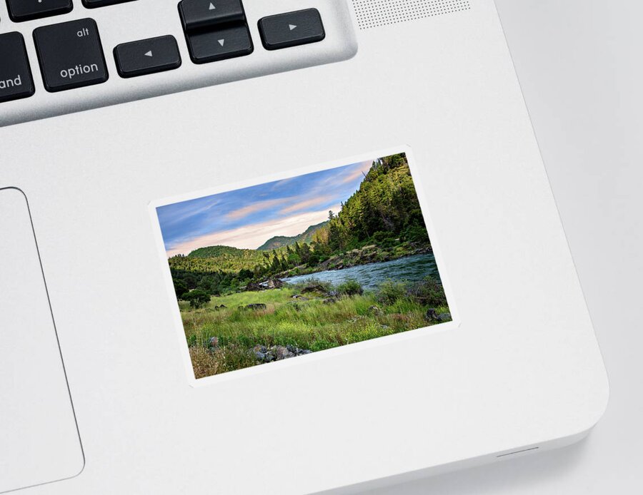 Landscape Sticker featuring the photograph National Forest by Maria Coulson