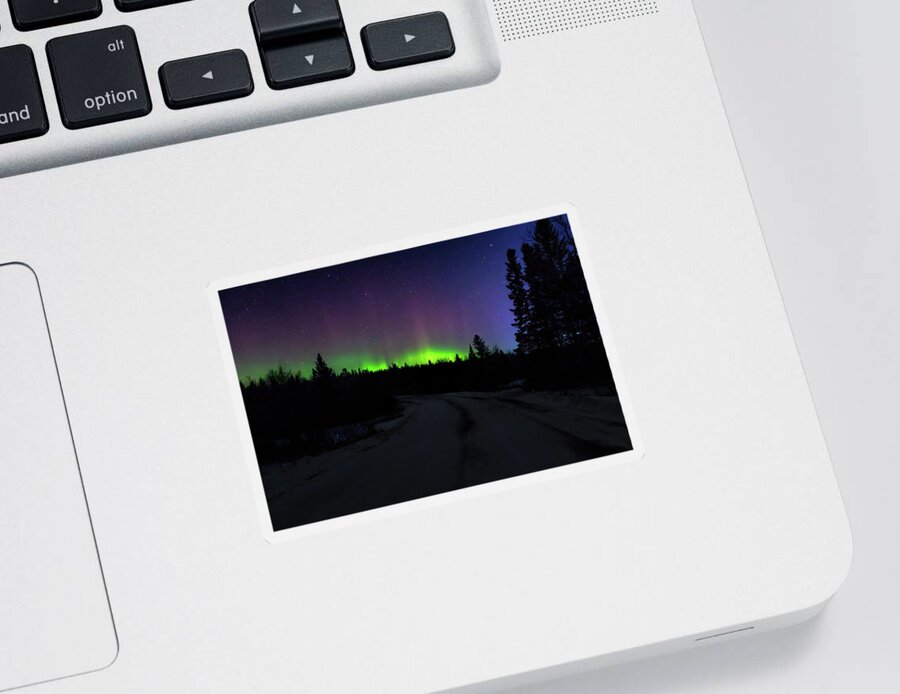 Northern Lights Sticker featuring the photograph Night Dancer by Susan Rissi Tregoning