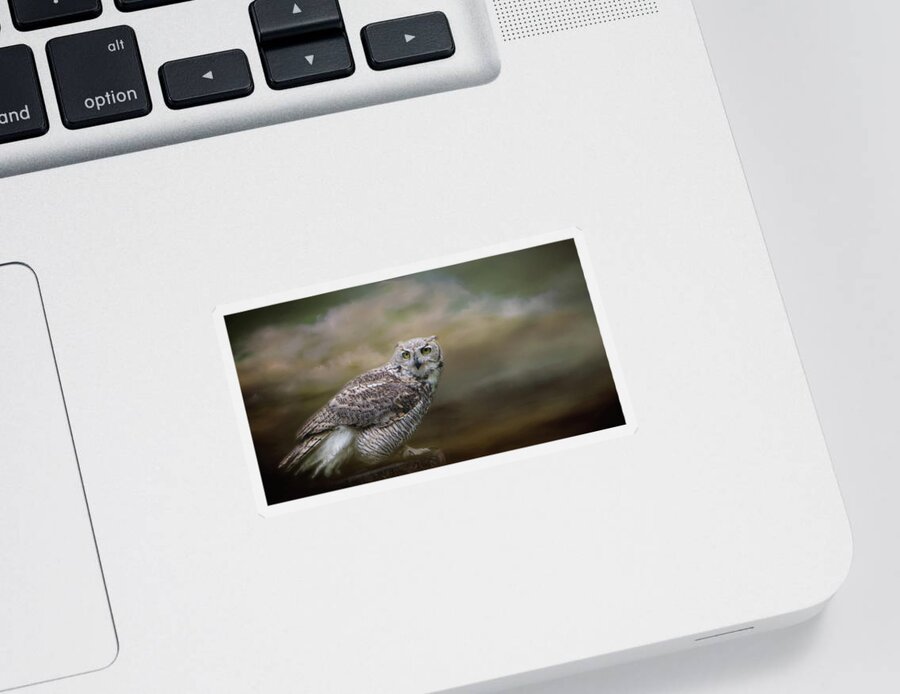 Owl Sticker featuring the photograph Owl Eyes by Marilyn Wilson