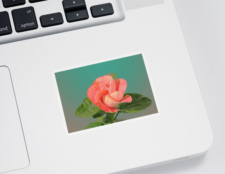 Flower Sticker featuring the digital art Opening by Steve Karol