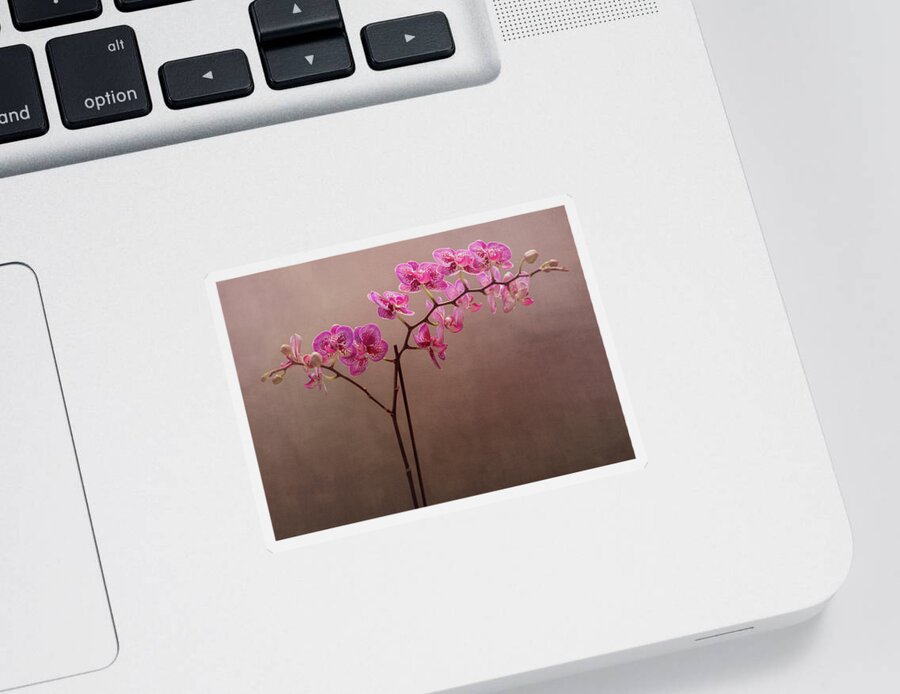Floral Sticker featuring the photograph Orchid 6 by Rosette Doyle