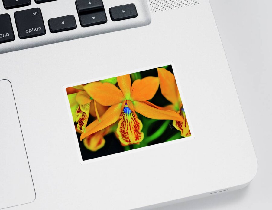 Orchid Sticker featuring the photograph Orchid Study Sixteen by Meta Gatschenberger
