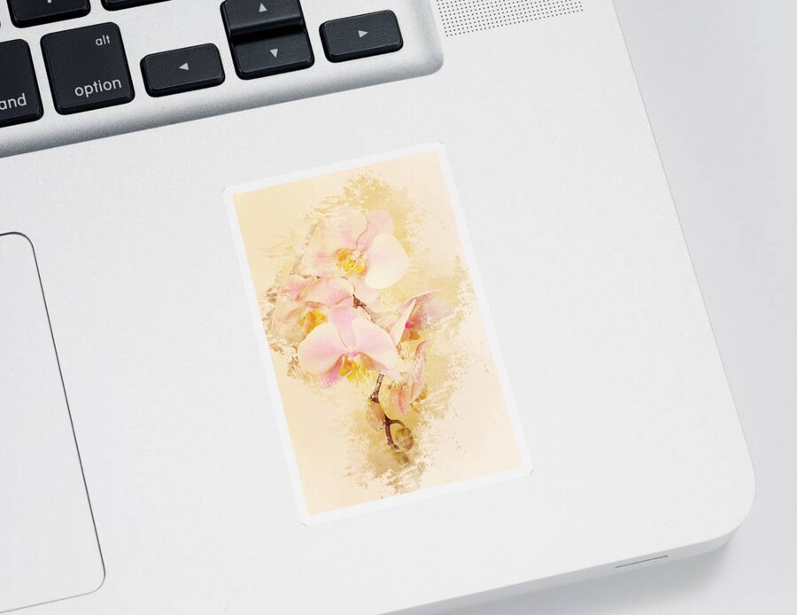 Phalaenopsis Sticker featuring the photograph Orchids by Angie Tirado