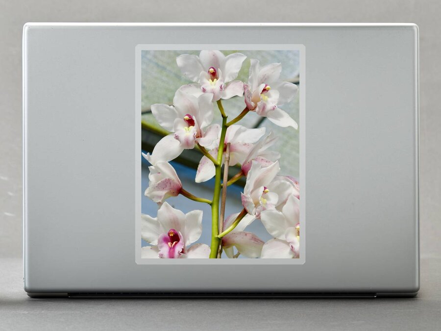 Flower Sticker featuring the photograph White Cymbidium Orchids I by Bnte Creations