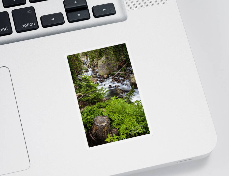 Waterfall Sticker featuring the photograph Ouzel Falls in Rocky Mountain National Park by Ronda Kimbrow