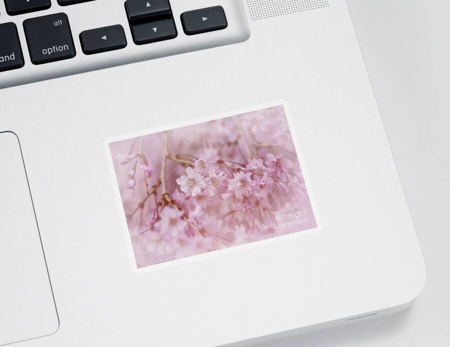 Flower Sticker featuring the photograph Pastel Pink by Lois Bryan