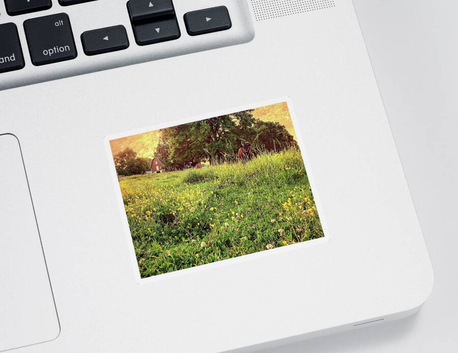 Sun Sticker featuring the photograph Peaceful Pastoral Perspective by Carol Whaley Addassi