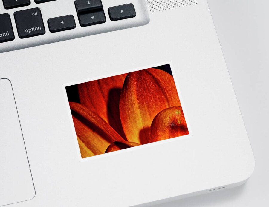 Macro Photography Sticker featuring the photograph Peach Petals by Meta Gatschenberger