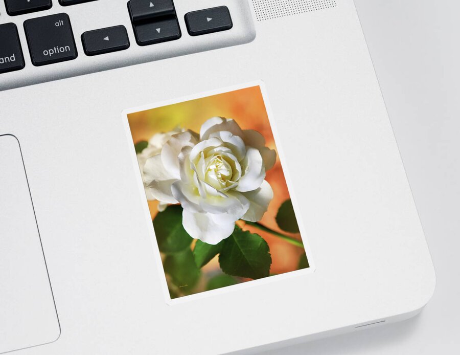 Flower Sticker featuring the photograph Romantic Rose by Christina Rollo