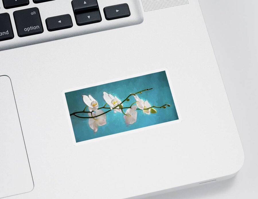 Orchids Sticker featuring the photograph Perfect Phalaenopsis Orchid 110 by Rich Franco