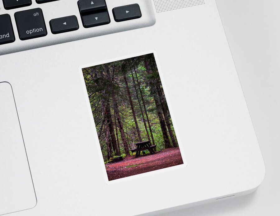 Forest Sticker featuring the photograph Picnic Table by Paul Freidlund