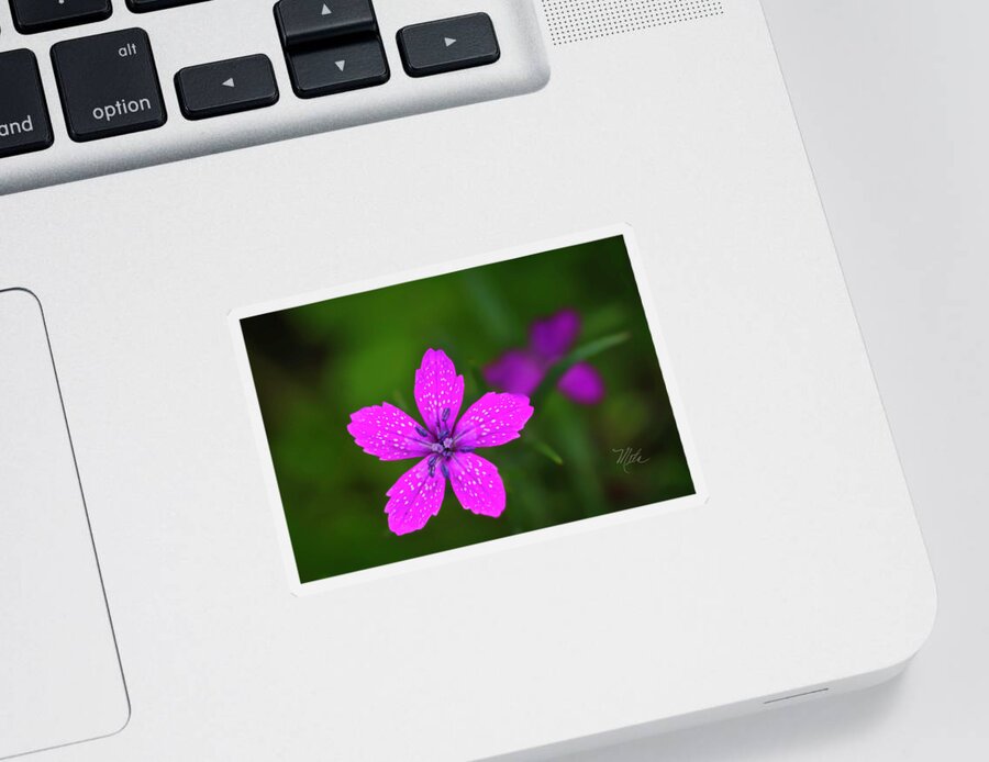 Macro Photography Sticker featuring the photograph Pink Flower by Meta Gatschenberger