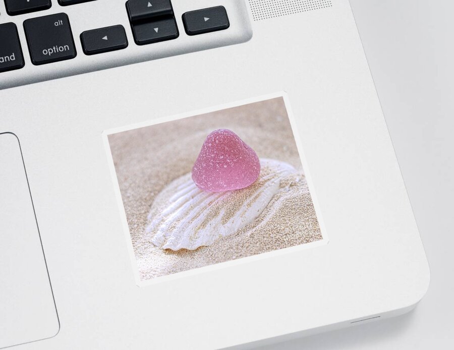 Sea Glass Sticker featuring the photograph Pink gumdrop sea glass by Janice Drew