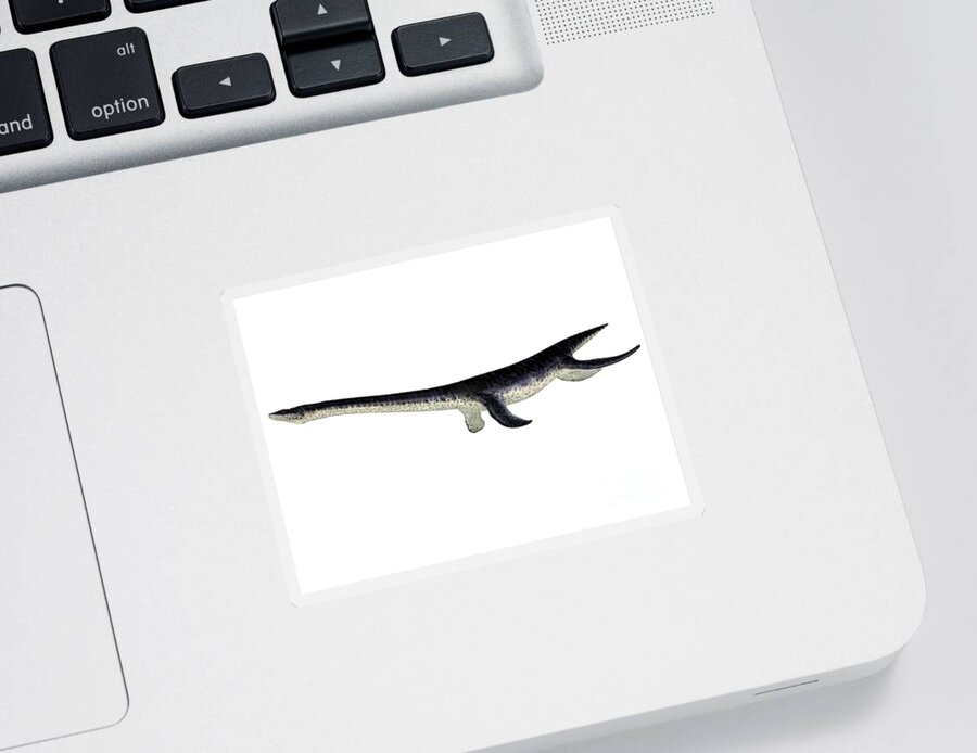 Plesiosaurus Sticker featuring the digital art Plesiosaurus Reptile Side Profile by Corey Ford