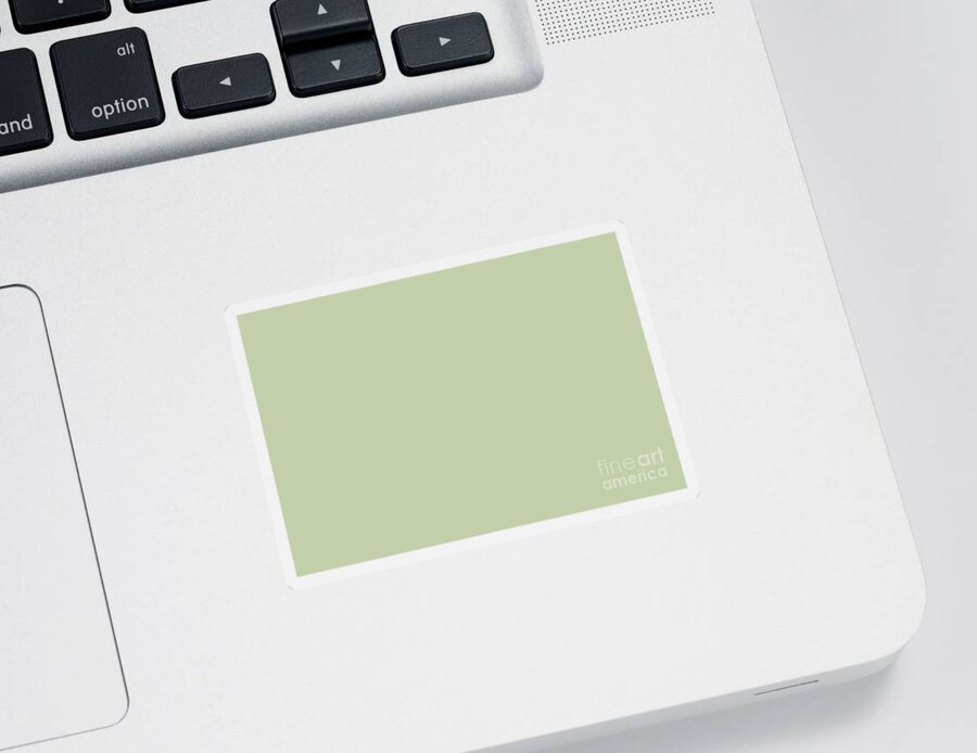 Green Sticker featuring the digital art Pratt and Lambert 2019 Mellon Green - Sage Green 18-28 Solid Color by PIPA Fine Art - Simply Solid